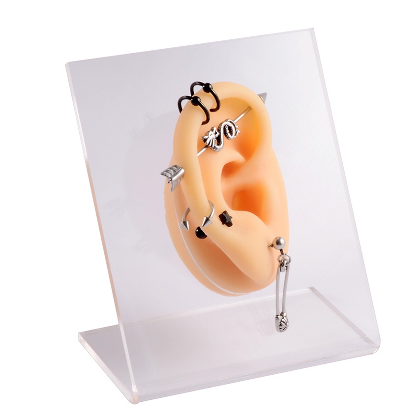 

Model Telinga Manusia Palsu Bahan Silikon Untuk Display Earphone Alat Bantu Mengajar Model Telinga