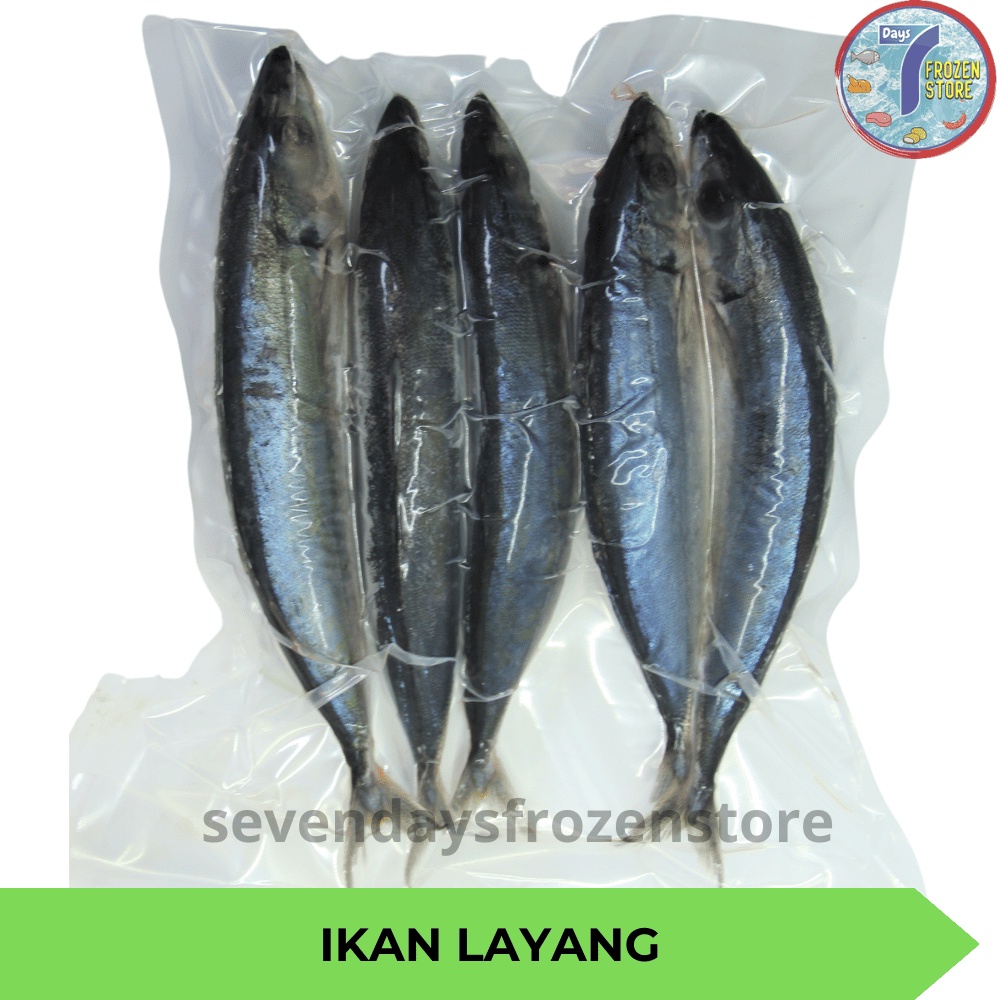 

Ikan Layang Beku Frozen