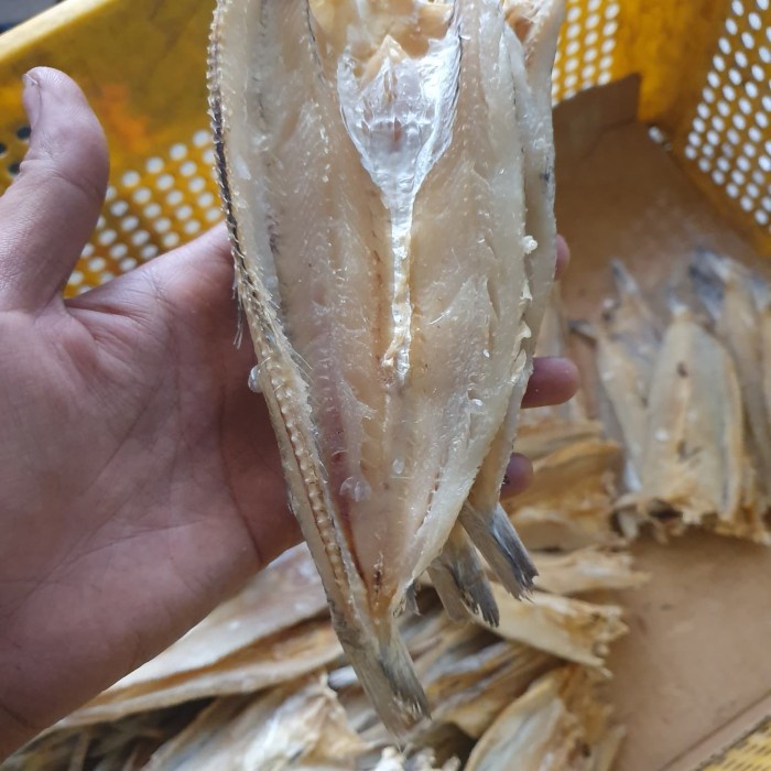 

ikan asin kacang-kacang 500gram