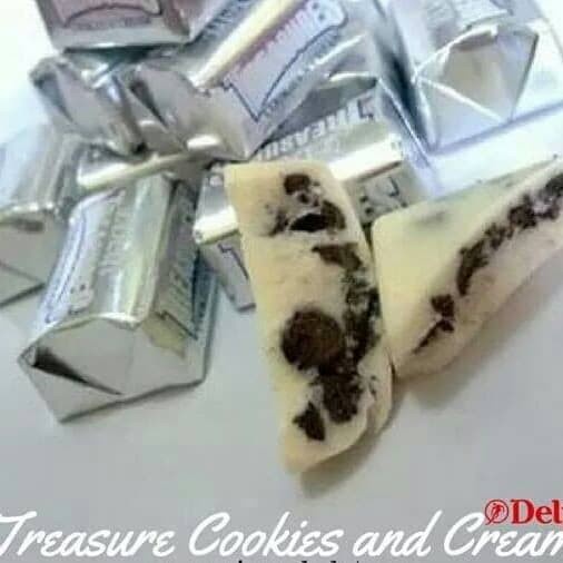 

cokelat/coklat delfi treasure cookies 500gr isi 48pcs