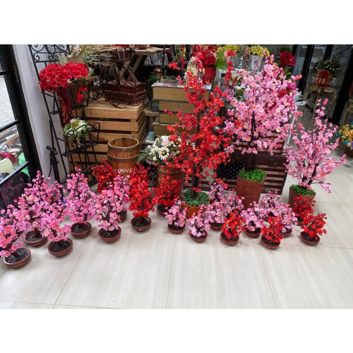 POHON MEIHUA SAKURA IMLEK POT MEIHUA HIASAN IMLEK BUNGA SAKURA
