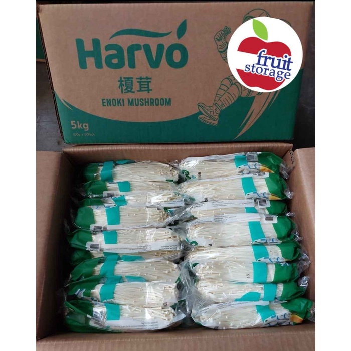 

Jamur Enoki 1 Dus Isi 50 Pack