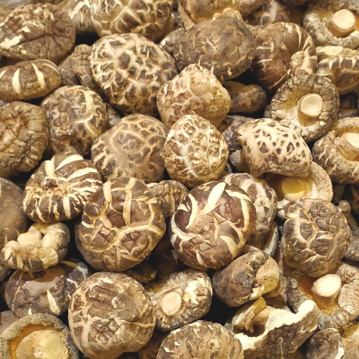 

Jamur Hioko Shitake Kering Ukuran 4-5Cm Kualitas Tebal