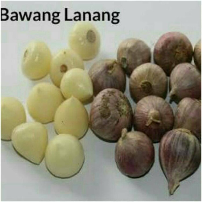 

Bawang Putih Tunggal / Bawang Lanang 250 gram