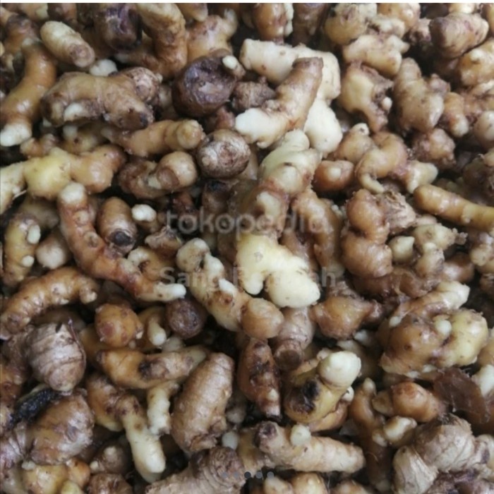 

Jahe Emprit Ukuran Kecil (Bersih Dicuci) 1 kg