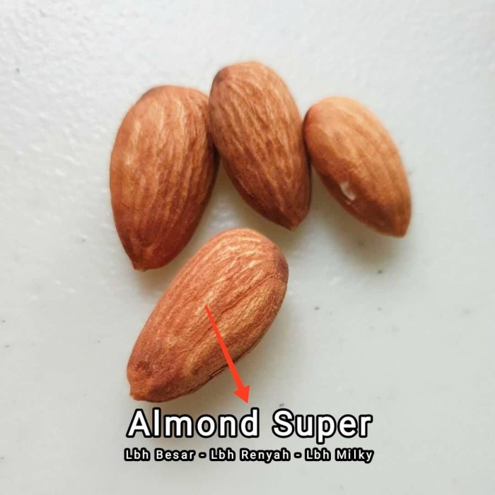 

Kacang Almond Panggang Kupas - Almon Roasted Original Premium