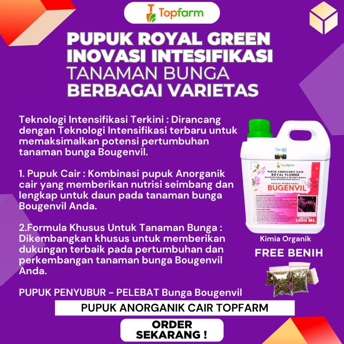 Pupuk Bugenvil 1 Liter / Pupuk Tanaman Bougenville Cepat Berbunga / Pupuk Bugenvil / Pupuk Pelebat