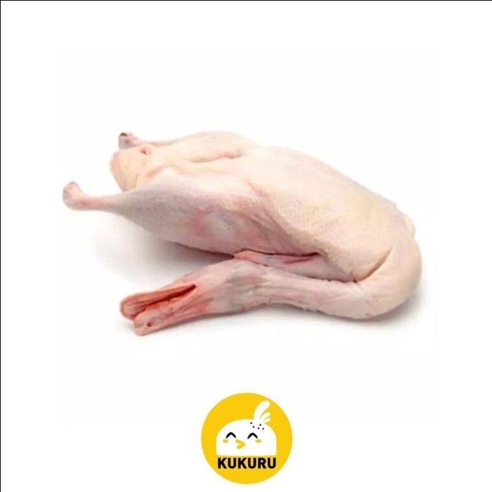 

(BestSeller) BEBEK HIBRIDA UTUH / HYBRID DUCK (PERSILANGAN BEBEK LOKAL DAN PEKING)