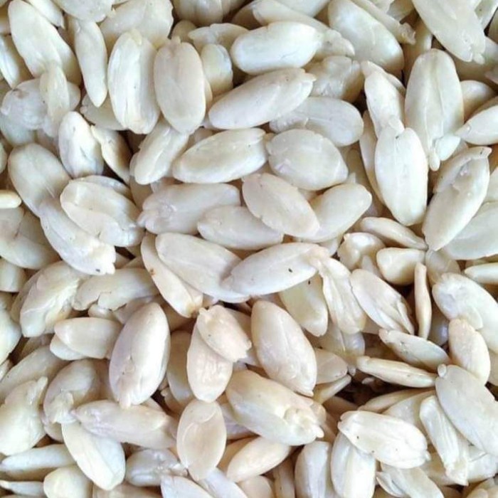 

Promo...!! 1 Kg Kacang Kenari Premium Terlaris
