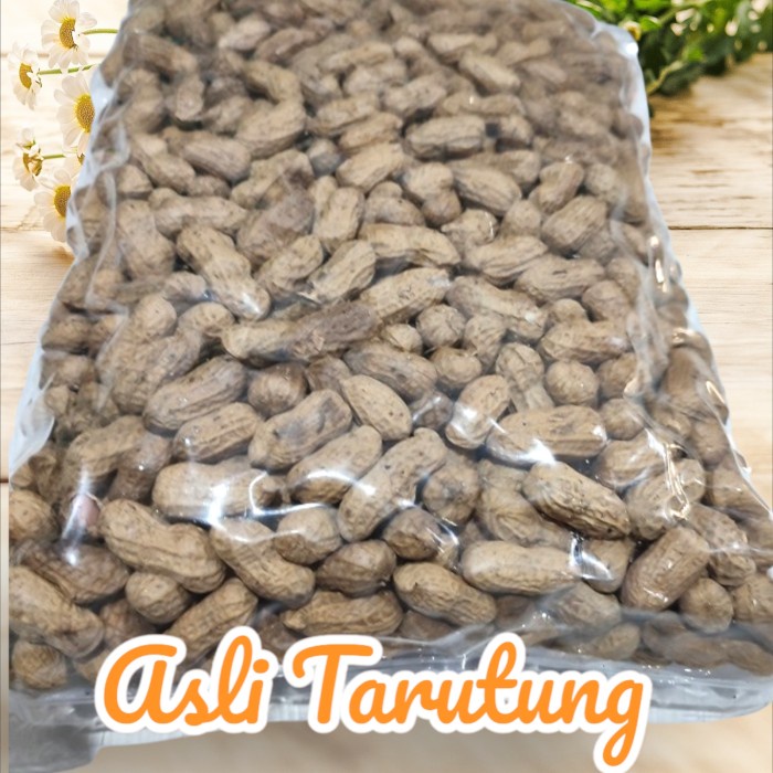 

Kacang Sihobuk 1000Gr Garing Renyak Khas Tapanuli Utara Mantap Medan Promo