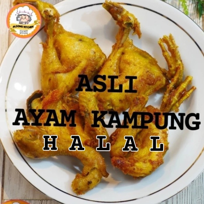 

ayam kampung ungkep bumbu kuning siap digoreng
