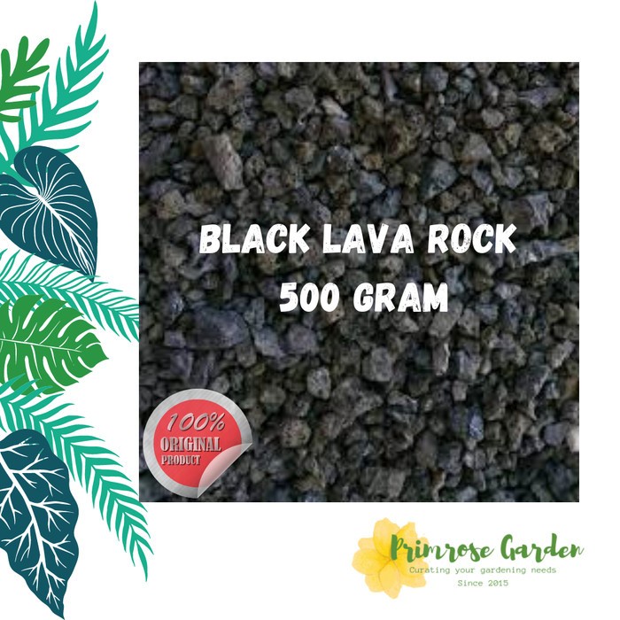 [BestSeller] BLACK Lava Rock 500 gram media tanam