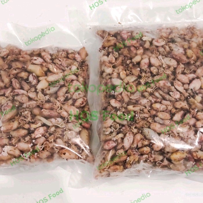 

Cumi asin kering baby (uk 0,5-2cm)