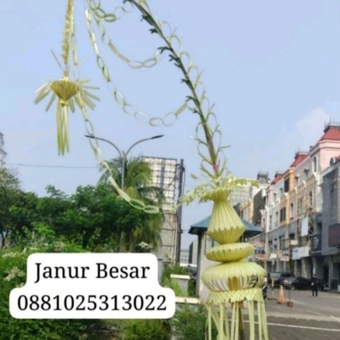 Janur Kuning Janur Nikahan Besar Premium