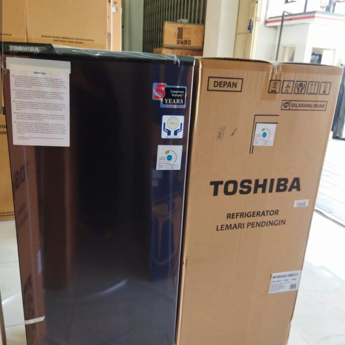 Kulkas 1 Pintu Toshiba GR RD235CC DMF 37