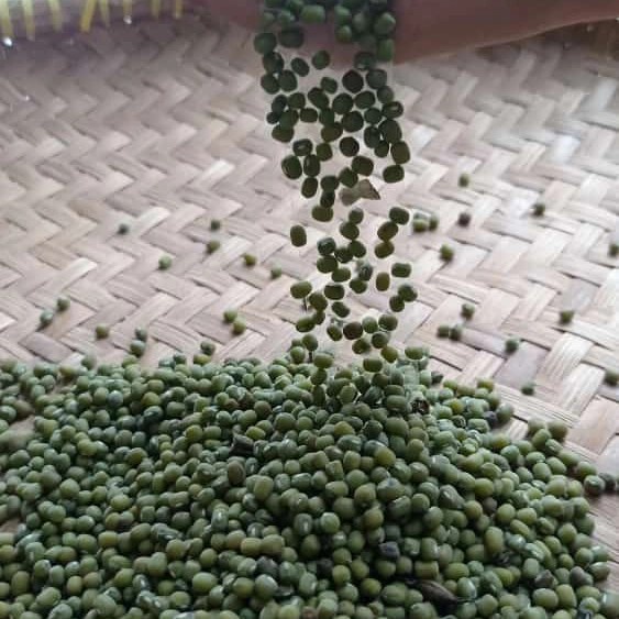 

Kacang Hijau Organik Bergizi 1 Kg