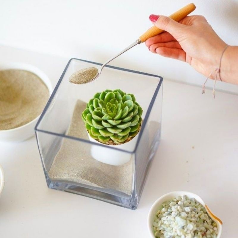 VAS POT KACA TERARIUM KOTAK 12 CM / VAS BUNGA KACA PERSEGI MINIMALIS AESTHETIC / VAS KACA BENING