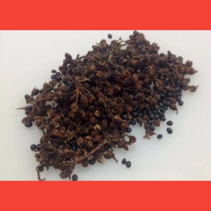 

Sale Terbatas Andaliman Kering 100Gram / Andaliman Khas Medan Aman