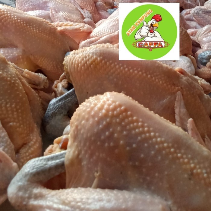 

(TopSeller) AYAM KAMPUNG LARGE 950-1100gr