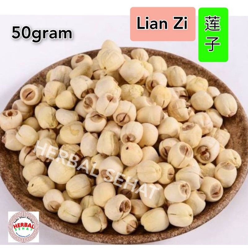 

A Bai Lian Zi Lian Zi - Biji Teratai - Lotus Seed Semen Nelumbinis Nucifera
