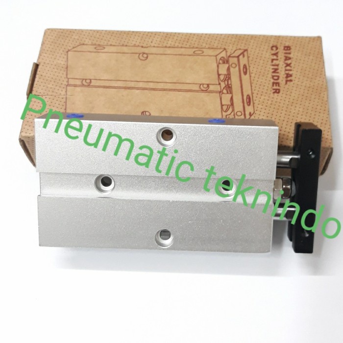 Cylinder pneumatic TN 10 x 30 / Cylinder twin rod