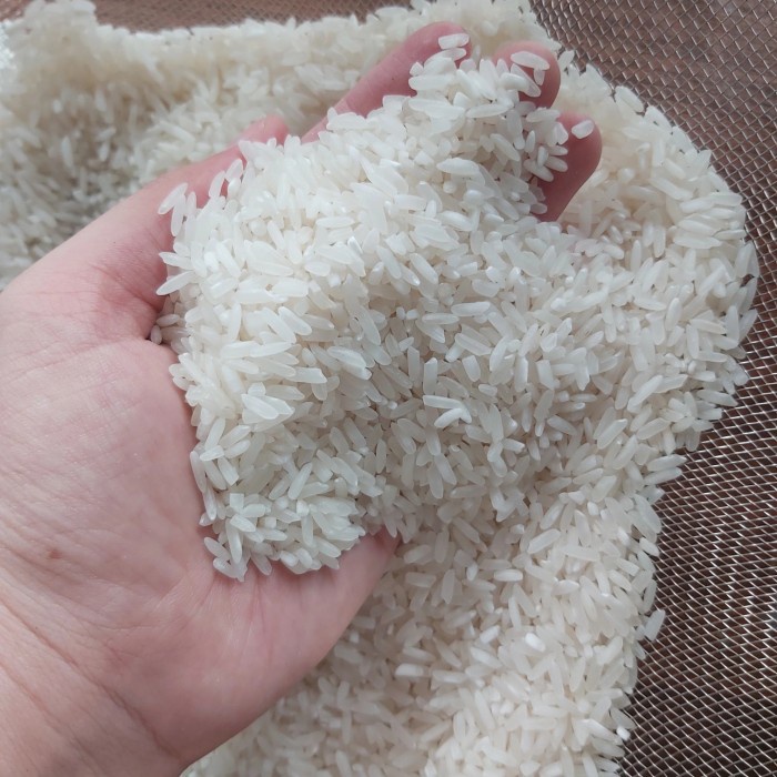 

Lezat- Beras Ramos Plus - Merk Bambu Wangi 10 Kg