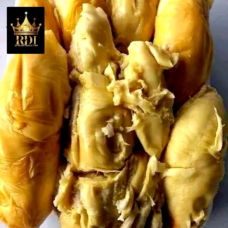 

Lezat- RDI. cab Jak-pusat Durian kupas Medan KING FRASH Produk unggulan Rdi