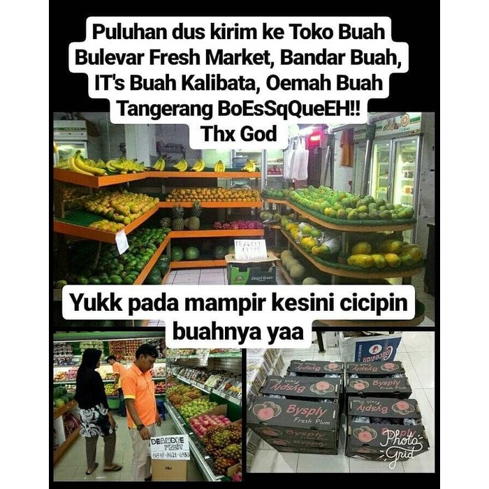 

Lezat- Buah Jeruk Murcot import Harga DIJAMIN MURAH DIBAWAH PASARAN TERMURAH