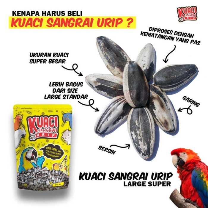 

Kuaci Sangrai Urip 900 gram LARGE SUPER Kwaci premium parrot macaw