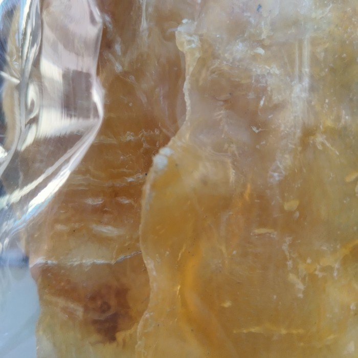 

Hipio Perut Ikan/ Gelembung Ikan/ BellyFish Mentah (KAKAP TEBAL) 100gr