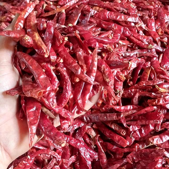 

Lezat- CABE RAWIT TEJA MERAH KERING INFOR INDIA KUALITAS SUPER PEDAS Organik Alami 1KG Cabai Food