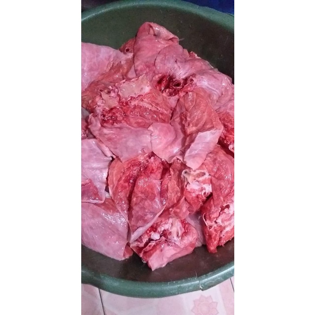 Lezat- PARU SAPI HALAL PREMIUM FROZEN FRESH SEGAR BEKU BERSIH LUNG MENTAH