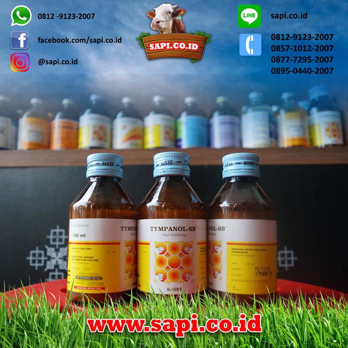 Pet- Tympanol 100 Ml Sanbe