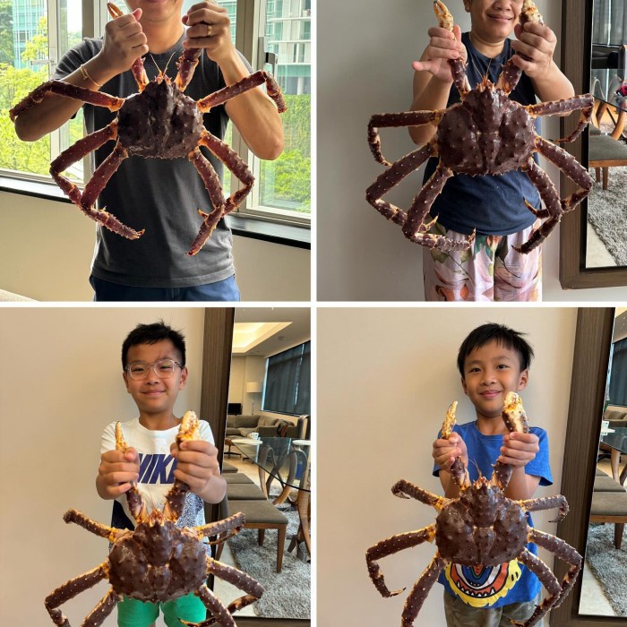 Hot Sale King Crab Alaska Live Kepiting Alaskan Hidup Ukuran 2-4 Kg Readyy
