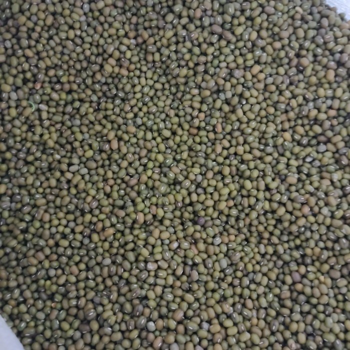 

(TopSeller) KACANG HIJAU kiloan kualitas SUPER
