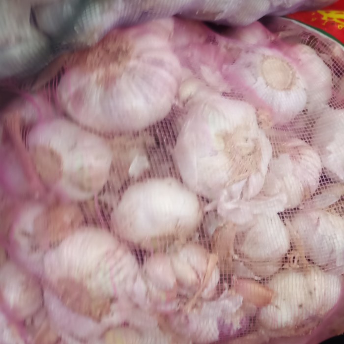 

bawang putih honan 20kg