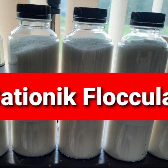 silahkan- polimer kationik flocculant