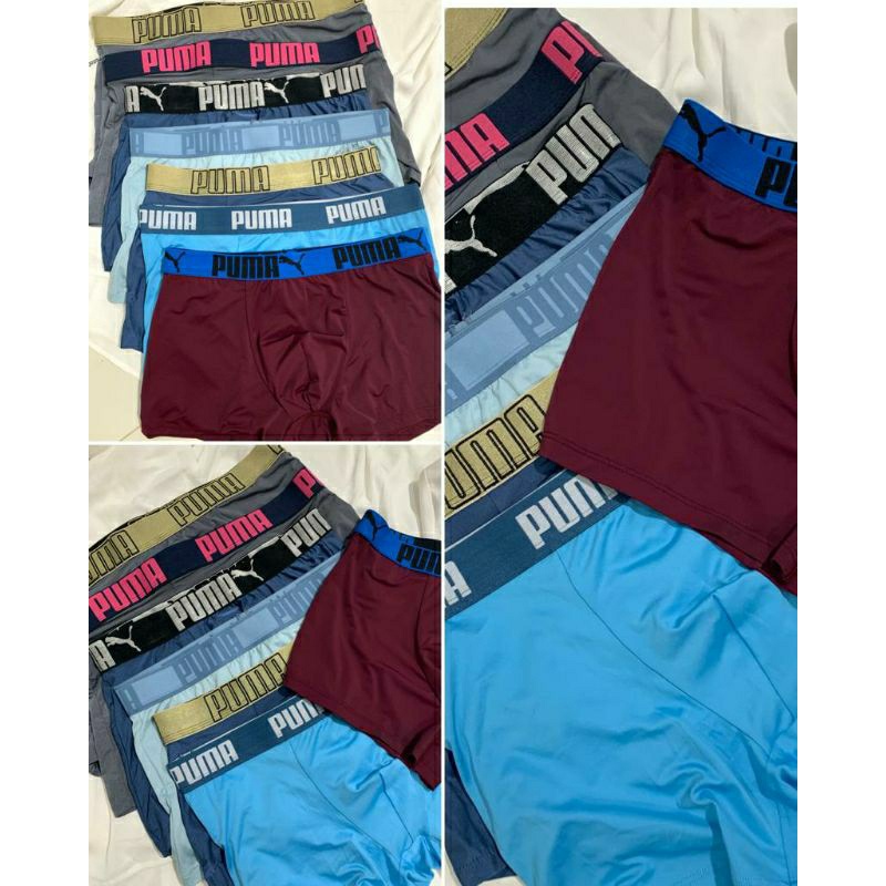 BOXER PUMA orginal