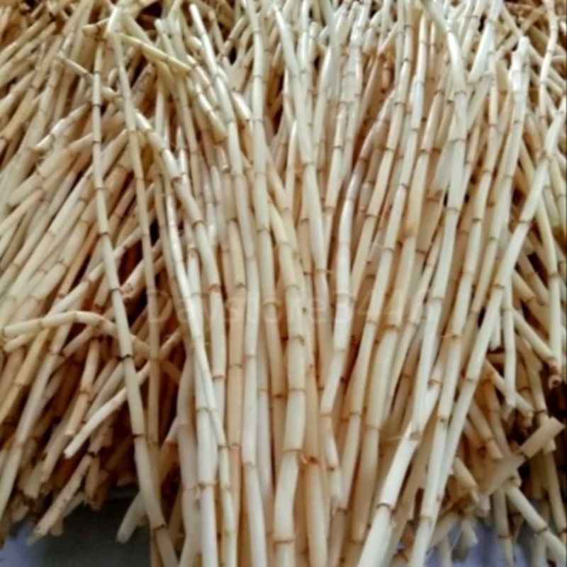 

FRESH Akar Alang-alang Segar 1 kg Fresh / Akar ilalang Ramuan Herbal