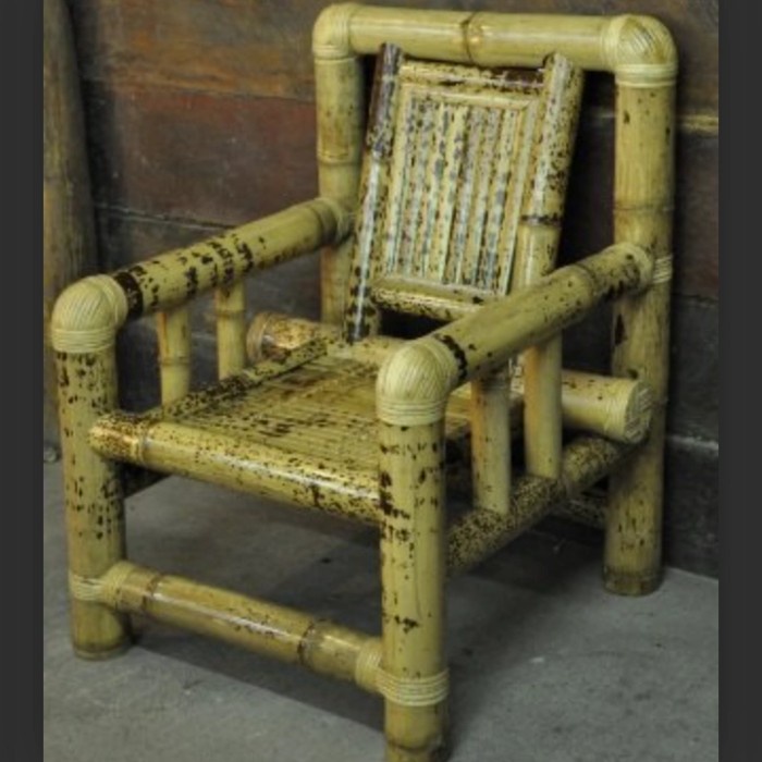 Fresh Flower Bambu Tutul Bambusa Maculata,Bambu Unik,Antik Dan Langka ,Per 50 Cm