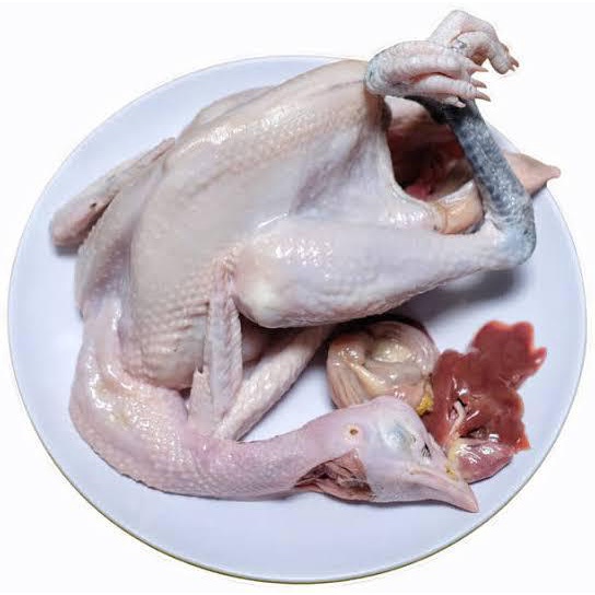 

Ayam Kampung Fresh Tidak Beku