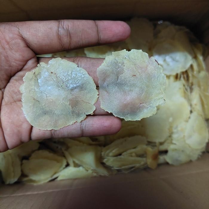 

EMPING MELINJO MENTAH 1KG
