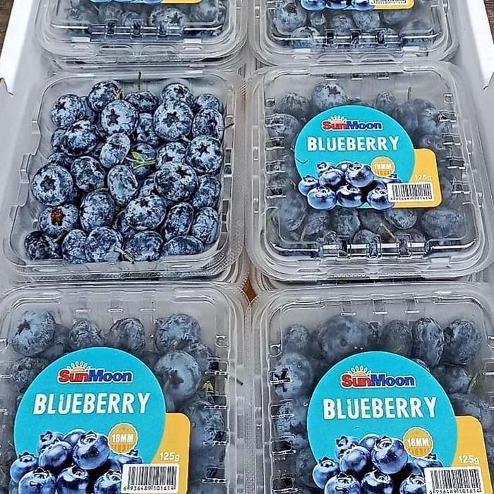 

BisaInstan- BLUEBERRY FRESH IMPORT PER DUS