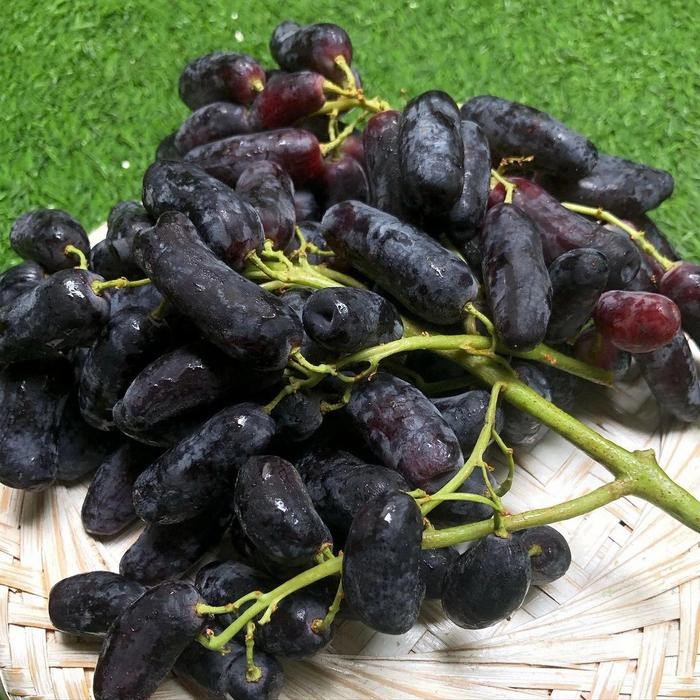 

BisaInstan- Anggur Hitam Lonjong tanpa biji /Anggur Moondrop/sweet saphire/500gram