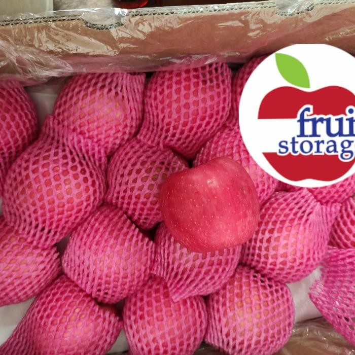 

BisaInstan- Buah Segar Apel Fuji China Besar 1kg Manis Garing RRC