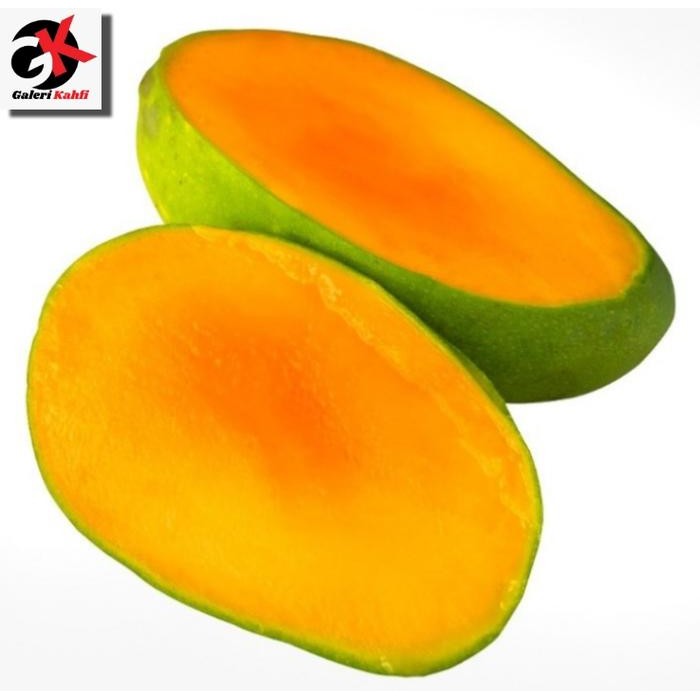 

BisaInstan- Buah Mangga Harum Manis Segar Grade A - 1 Kilogram