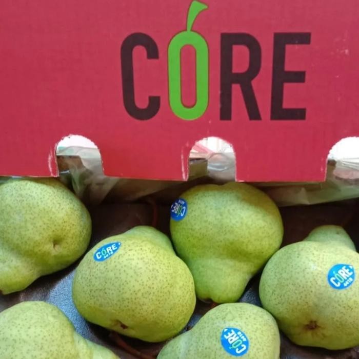 

BisaInstan- Buah Pear Pakham Fresh Pir Hijau Segar 900 gram - 1Kg