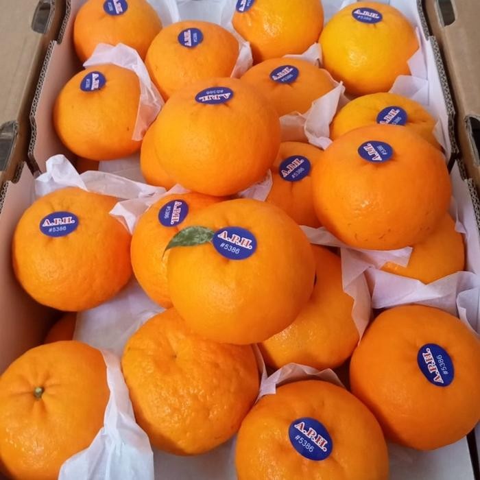 

BisaInstan- BUAH JERUK WOKAM FRESH IMPORT PER KG