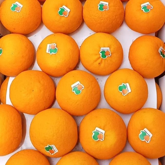 

BisaInstan- JERUK WOKAM MANDARIN IMPORT PER DUS