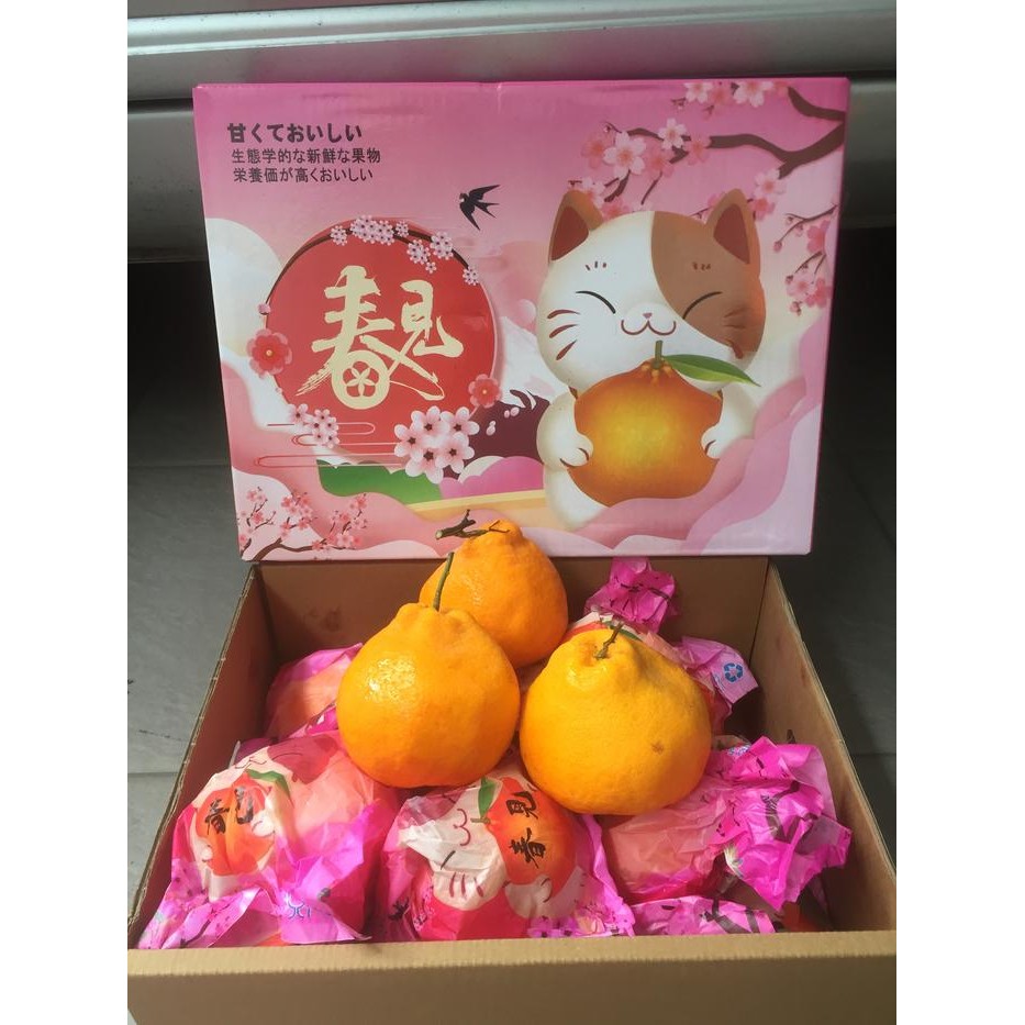 

BisaInstan- Jeruk Dekopon 1 Dus (4.5 KG) Fresh Import